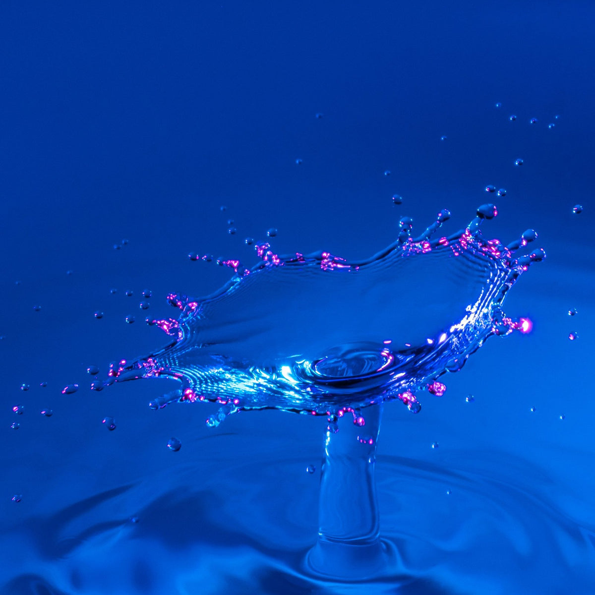 Burst of water against a deep cobalt blue background